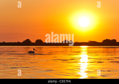 Sonnenaufgang im Donaudelta Stockfoto