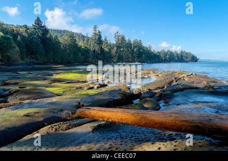 Felsen und Tidepools, Cable Bay, Galiano Island, British Columbia, Kanada Stockfoto