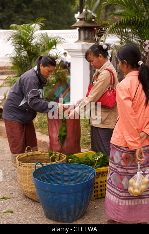 Kauf von Fluss Unkraut (Kaipen, Khai Paen), ein Lebensmittel speziell für Luang Prabang auf dem Lebensmittelmarkt am frühen Morgen Stockfoto