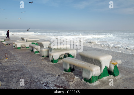 Gefrorene Cafe, ein seltenes Phänomen, Odessa, Ukraine, Osteuropa. Stockfoto