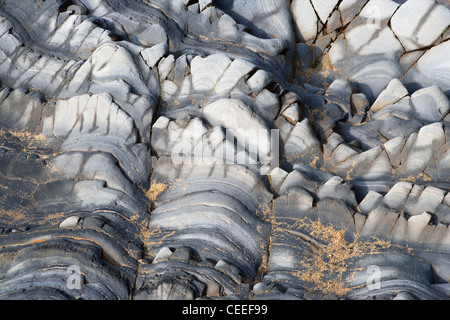 Nahaufnahme des grauen Gesteinsschichten am Strand von Sandymouth, Cornwall, UK. Die holprige Felsformationen sehen prähistorische. Stockfoto