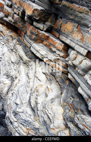 Nahaufnahme von bunten Gesteinsschichten in der Sandymouth Bay in Cornwall. Stockfoto
