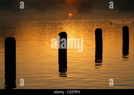 Nebligen Sunsrise am langen Wasser von Serpentine Bridge, Kensington Gardens, London, UK Stockfoto