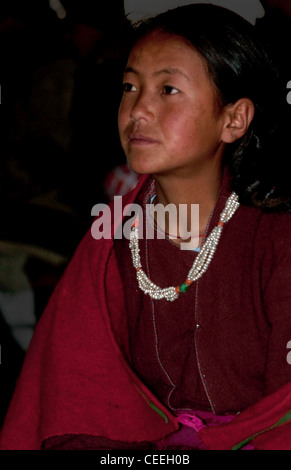 Nomaden der Chanthang, Ladakh, Indien Stockfoto