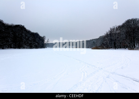 Blick über den zugefrorenen See Schlachtensee in Berlin, Deutschland. Stockfoto