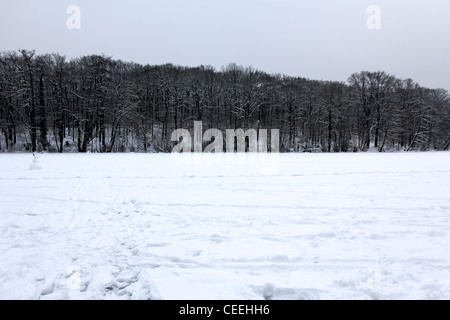 Blick Richtung Ufer aus den gefrorenen See Schlachtensee in Berlin, Deutschland. Stockfoto