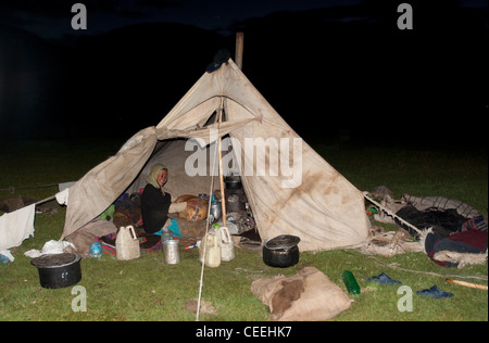 Lebensweise der Nomaden von Chanthang in Ladakh Aufzucht Pashmina Stockfoto