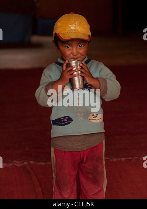 Lebensweise der Nomaden von Chanthang in Ladakh Aufzucht Pashmina Stockfoto