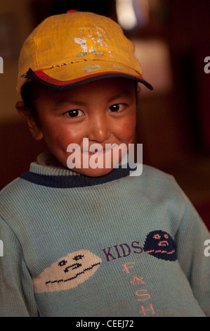 Lebensweise der Nomaden von Chanthang in Ladakh Aufzucht Pashmina Stockfoto