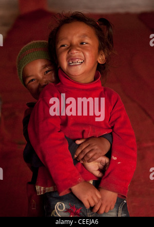 Lebensweise der Nomaden von Chanthang in Ladakh Aufzucht Pashmina Stockfoto