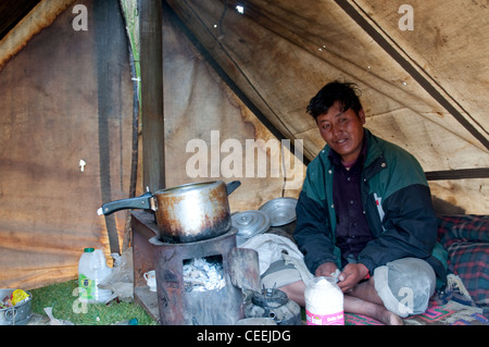 Lebensweise der Nomaden von Chanthang in Ladakh Aufzucht Pashmina Stockfoto