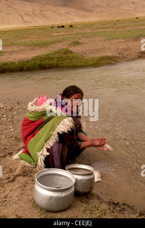 Lebensweise der Nomaden von Chanthang in Ladakh Aufzucht Pashmina Stockfoto