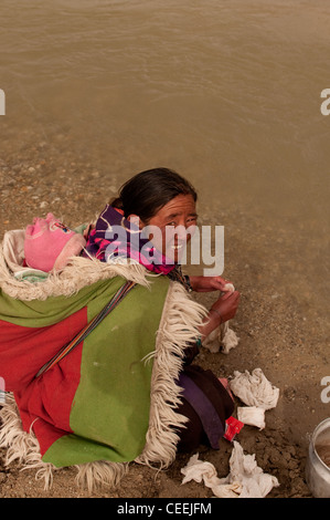 Lebensweise der Nomaden von Chanthang in Ladakh Aufzucht Pashmina Stockfoto