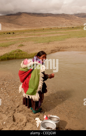 Lebensweise der Nomaden von Chanthang in Ladakh Aufzucht Pashmina Stockfoto