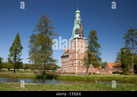 Grabenlöffel, Schloss Raesfeld, Naturpark Hohe Mark, Münsterland, Nordrhein-Westfalen, Deutschland, Europa Stockfoto