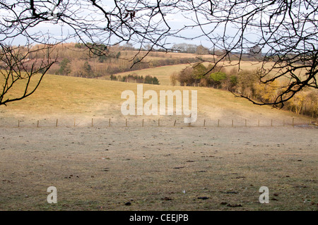 Chiltern Landschaft in der Nähe von Hemel Hempstead, Hertfordshire, UK. Stockfoto