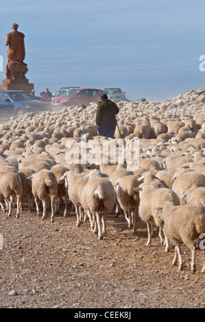 Saisonale Wanderung von Tieren in Bardenas Reales de Navarra. Navarra. Spanien. Europa Stockfoto