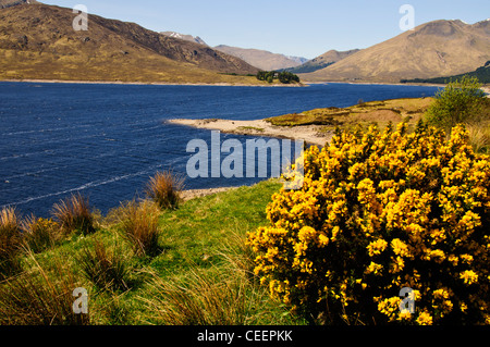 Loch Loyne ab A8, Naherholungsgebiet, Angeln, Radfahren, Walken, Wandern, Camping, Backpacking, Schottisches Hochland, Schottland Stockfoto