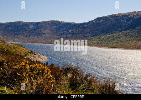 Loch Loyne ab A8, Naherholungsgebiet, Angeln, Radfahren, Walken, Wandern, Camping, Backpacking, Schottisches Hochland, Schottland Stockfoto