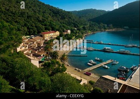 Port-Cros Island, Var, Provence, Frankreich Stockfoto