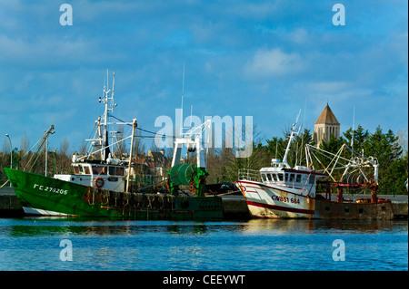 Courseulles-Sur-Mer, Calvados, Basse Normandie, Frankreich Stockfoto