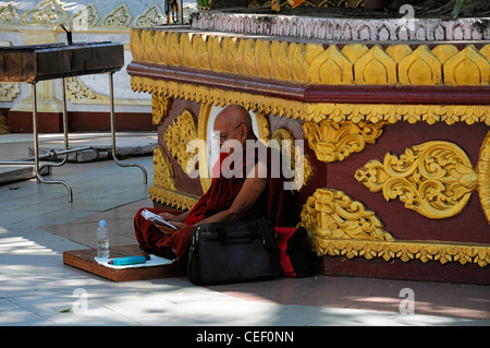 rote Roben buddhistischer Mönch lesen, lesen, meditieren Meditation Shwedagon Pagode Myanmar Burma Yangon Rangun Stockfoto