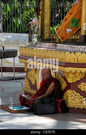 rote Roben buddhistischer Mönch lesen, lesen, meditieren Meditation Shwedagon Pagode Myanmar Burma Yangon Rangun Stockfoto