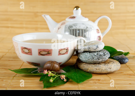 Grüner Teetasse und Schnecke Stockfoto