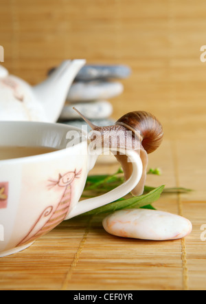 Grüner Teetasse und Schnecke Stockfoto