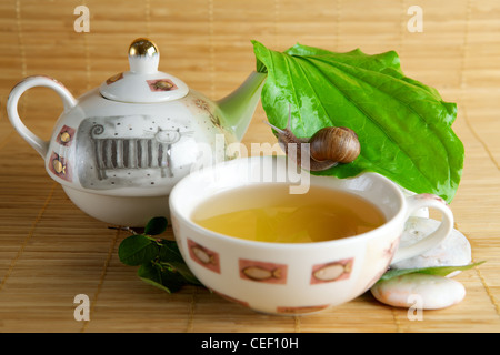 Grüner Teetasse und Schnecke Stockfoto