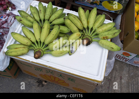 Dh Banane OBST HONG KONG Kleine kurze chinesische Bananen Bündel china Stockfoto