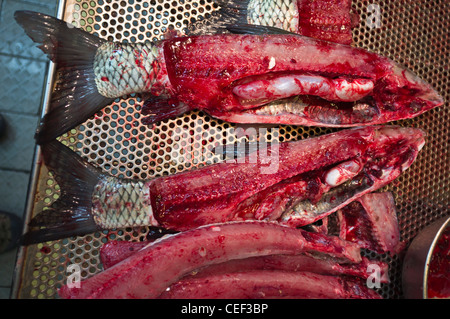 dh CAUSEWAY BAY HONGKONG frischer, nasser Fisch auf Chinesisch Marktstand zu zeigen Frische RAW Tablett china Stand Lebensmittel Stände schließen Märkte Stockfoto