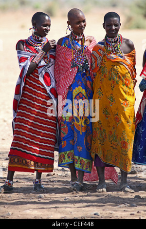 Massai-Frauen in der Nähe ihres Dorfes in Amboseli Nationalpark, Kenia, Ostafrika. Stockfoto