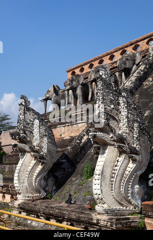 Wat Chedi Luang Chiang Mai Thailand Stockfoto