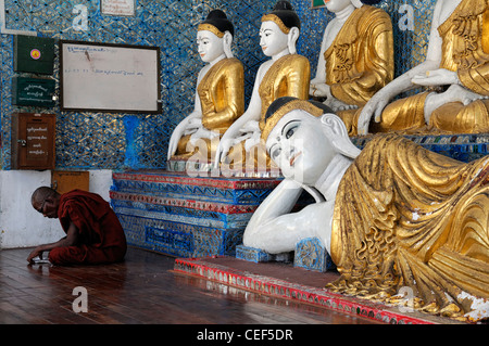 rote Roben buddhistischer Mönch Lese lesen, meditieren Meditation Shwedagon Pagode Myanmar Burma Yangon Rangun historisches Denkmal Stockfoto