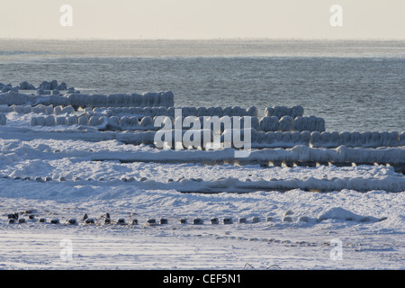 Schnee-bedeckten Strand in Niechorze, an der Westküste der Ostsee in Polen. Winter an der Ostsee Stockfoto