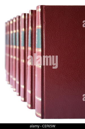 Reihe der Bücher mit fester Einband in rotem Leder auf einem weißen Hintergrund. Stockfoto