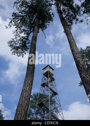 Lufkin Tex USA - im tiefen Osten von Texas, wo die Kiefern groß sind das Waldmuseum Texas zeigt einen alten Wachturm Stockfoto