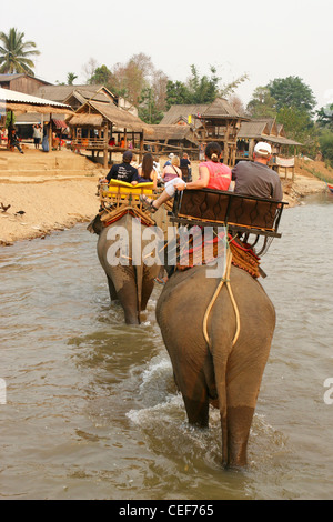 Touristen genießen einem Elefantenritt durch den Fluss Kok, Ruammit Dorf, Provinz Chiang Rai Thailand. Stockfoto