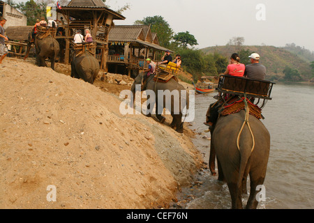 Touristen genießen einem Elefantenritt durch den Fluss Kok, Ruammit Dorf, Provinz Chiang Rai Thailand. Stockfoto