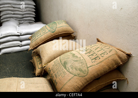 Kaffeesäcke im Lager der Finca Lerida, in der Nähe von Boquete, Chiriqui, Panama Stockfoto