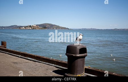 Szene der San Francisco Bay, Kalifornien, USA Stockfoto