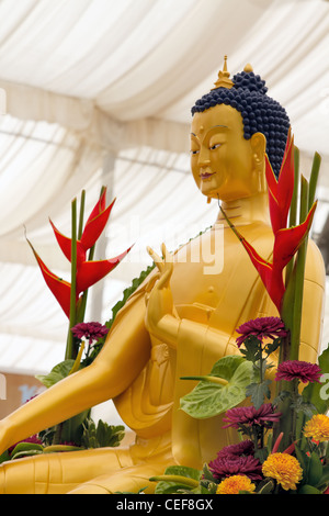 Golden Bronze-Buddha-Statue ausgestellt Stockfoto