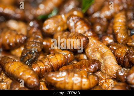 interessante Insekten essen von einem lokalen Markt in Phuket Thailand. Stockfoto