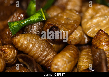 interessante Insekten essen von einem lokalen Markt in Phuket Thailand. Stockfoto