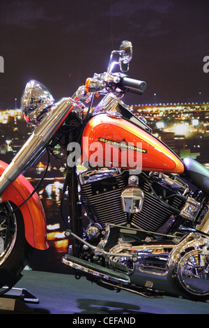 Harley-Davidson Fat Boy SOFTAil Familie Stockfoto