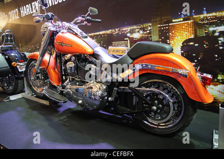 Harley-Davidson Fat Boy SOFTAil Familie Stockfoto