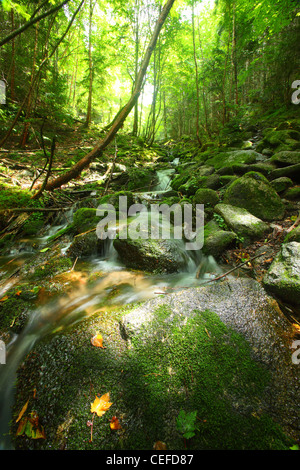 Oberlauf des Flusses Chikumagawa. Nagano. Japan Stockfoto