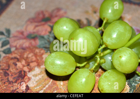 Ein Bündel von prallen saftigen grünen Trauben. Stockfoto