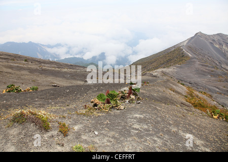 Kamm oder Rand am oberen Rand der Caldera des Vulkans Irazú oder Volcán Irazú aktiver Vulkan in Costa Rica, Mittelamerika Stockfoto